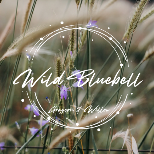 Wild Bluebell