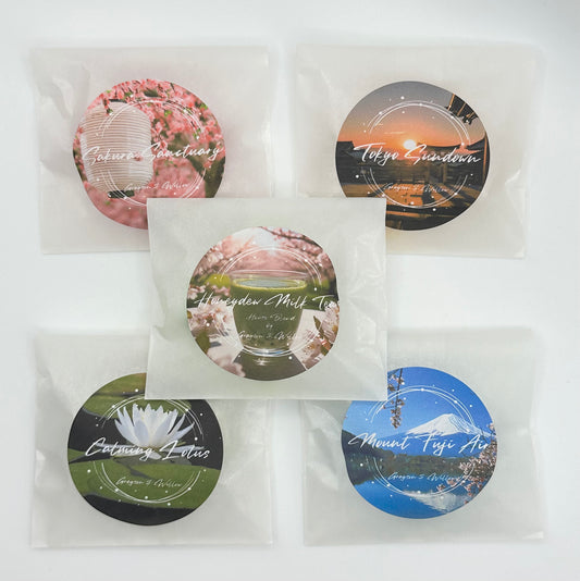 New Additions Sample Box