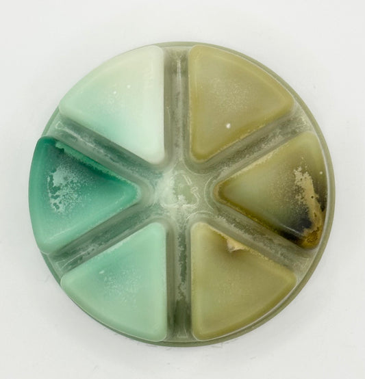 Grandad's Greenhouse