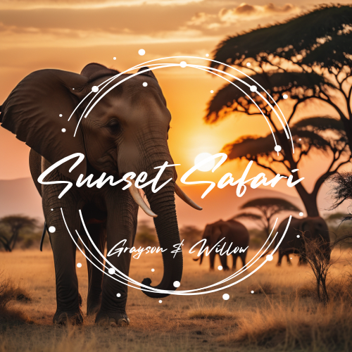 Sunset Safari