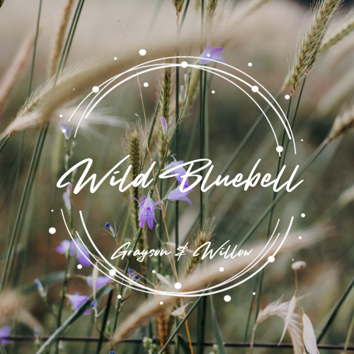 Wild Bluebell